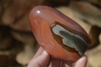 Polished Polychrome Jasper Standing Free Forms  x 6 From Mahajanga, Madagascar - Toprock Gemstones and Minerals 