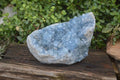 Natural Blue Celestite Geode Specimen  x 1 From Sakoany, Madagascar - Toprock Gemstones and Minerals 