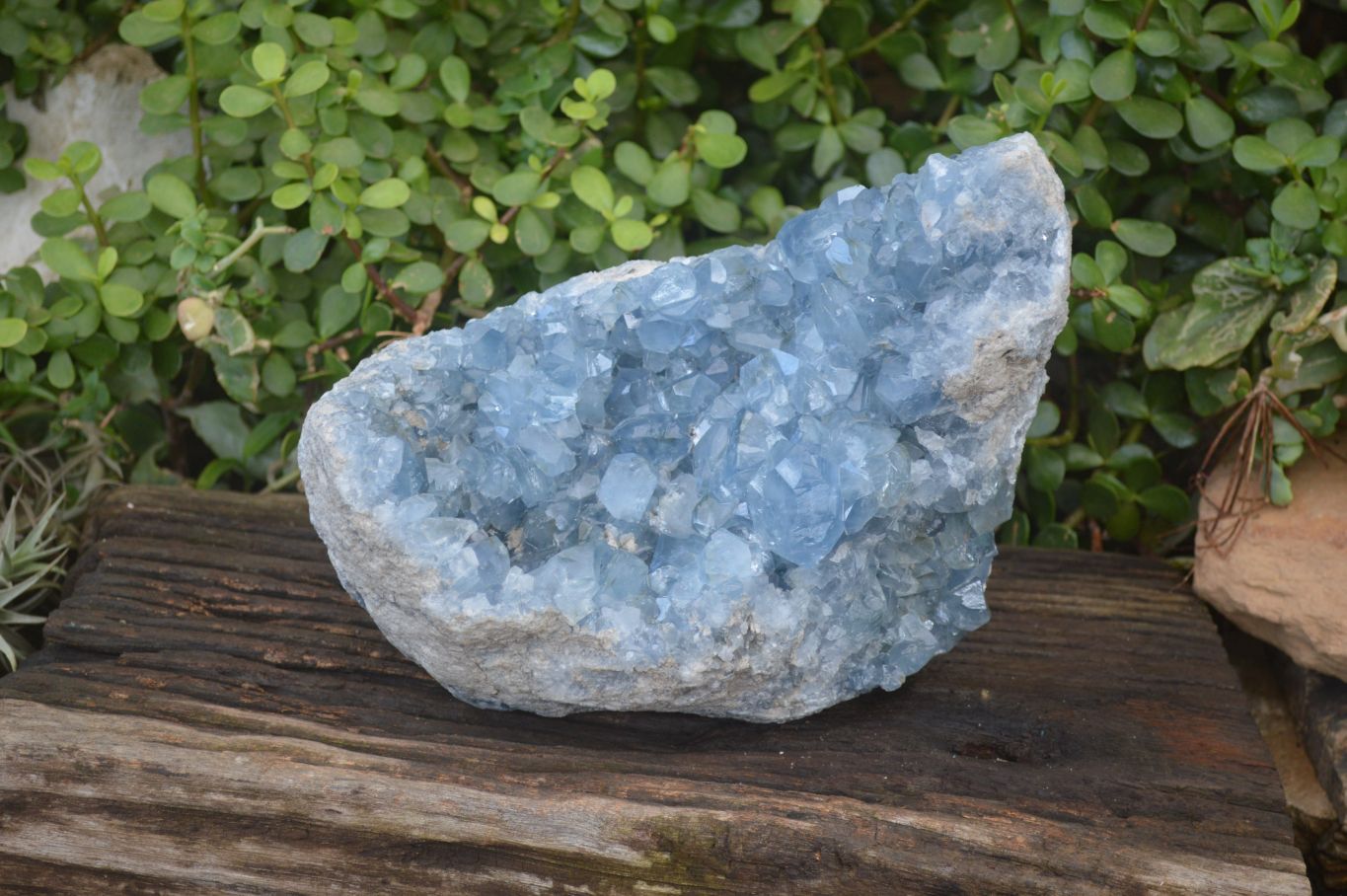 Natural Blue Celestite Geode Specimen  x 1 From Sakoany, Madagascar - Toprock Gemstones and Minerals 