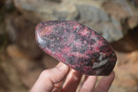 Polished Red Rhodonite Standing Free Forms x 2 From Zimbabwe - Toprock Gemstones and Minerals 