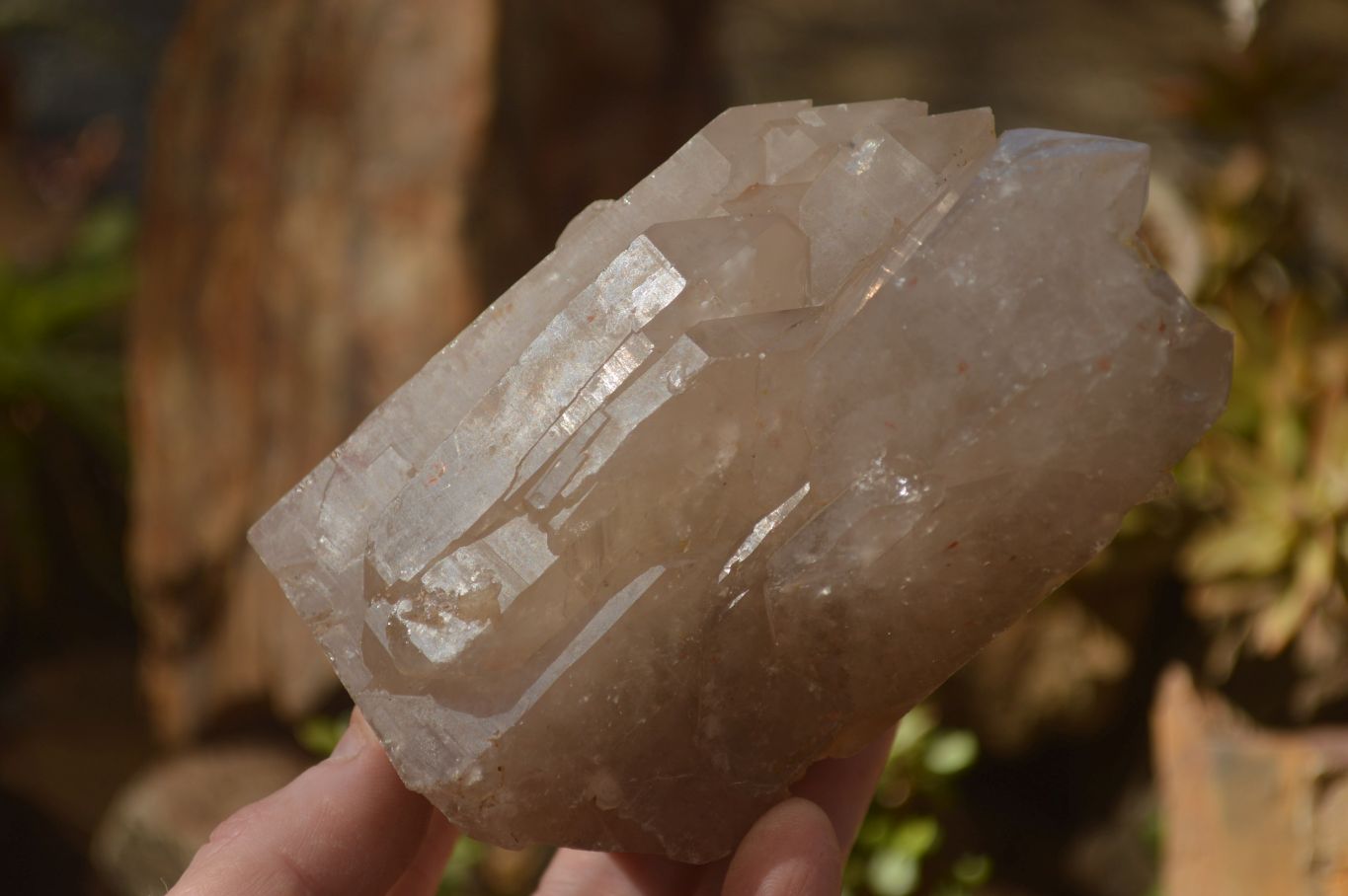 Polished Large Smokey Quartz Crystals x 2 From Angola - Toprock Gemstones and Minerals 
