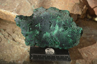 Polished  Chatoyant Silky Malachite Specimens  x 2 From Congo - Toprock Gemstones and Minerals 