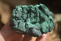 Natural Botryoidal Silky Malachite Specimens  x 5 From Congo - Toprock Gemstones and Minerals 