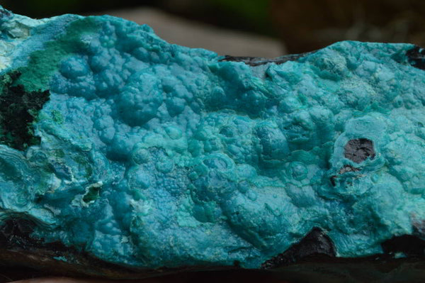 Natural Silica Chrysocolla Specimens With Malachite x 2 From Congo - TopRock