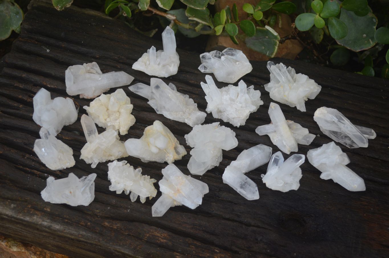 Natural Small Quartz Clusters  x 35 From Madagascar - Toprock Gemstones and Minerals 
