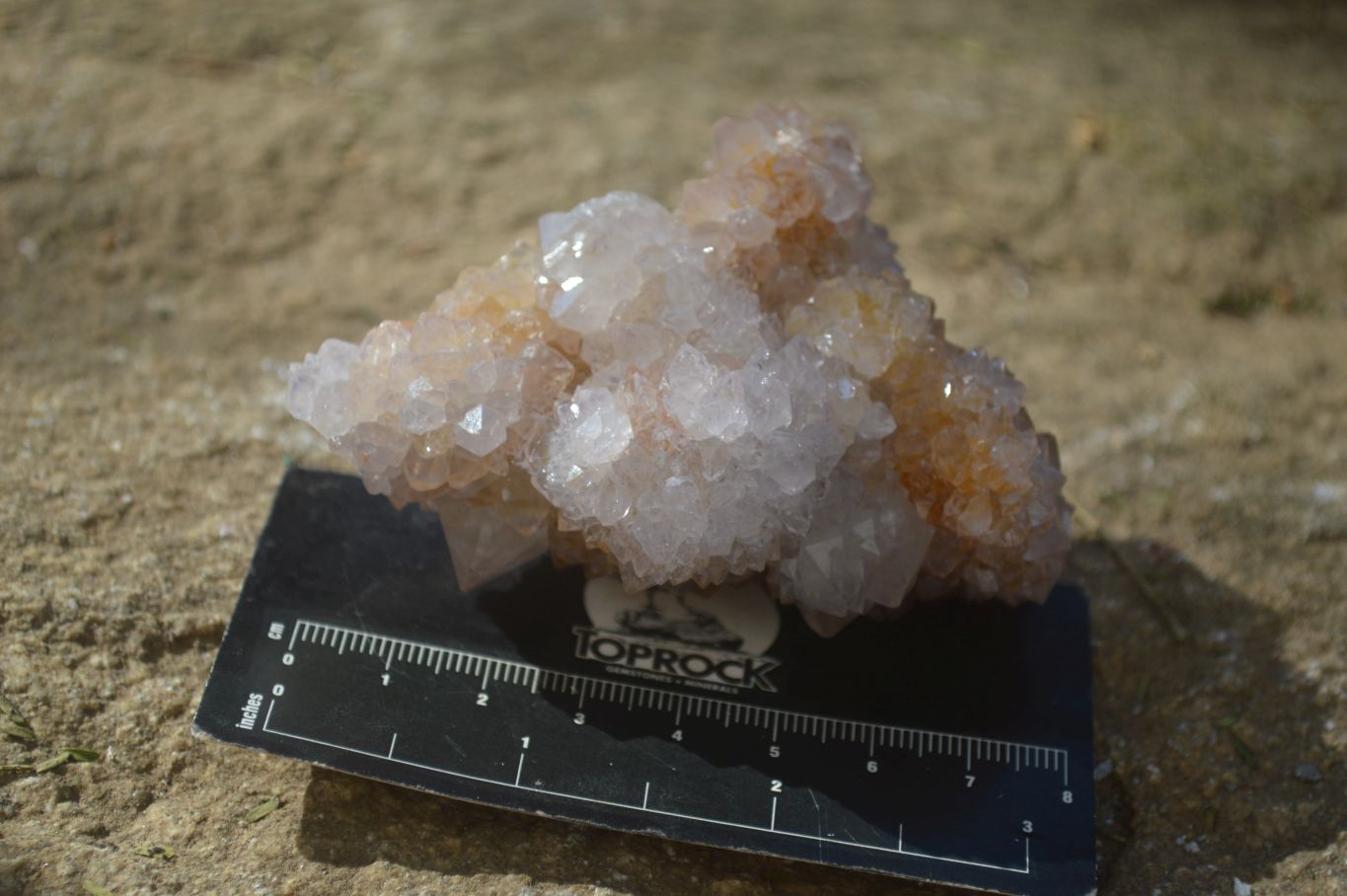 Natural Mixed Spirit Quartz Clusters x 7 From Boekenhouthoek, South Africa - Toprock Gemstones and Minerals 