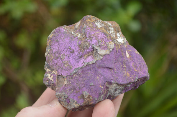 Natural Selected Rough Purpurite Specimens  x 16 From Erongo, Namibia - TopRock