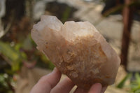 Polished Large Smokey Quartz Crystals x 2 From Angola - Toprock Gemstones and Minerals 