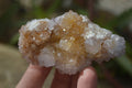 Natural Mixed Spirit Quartz Clusters x 7 From Boekenhouthoek, South Africa - Toprock Gemstones and Minerals 