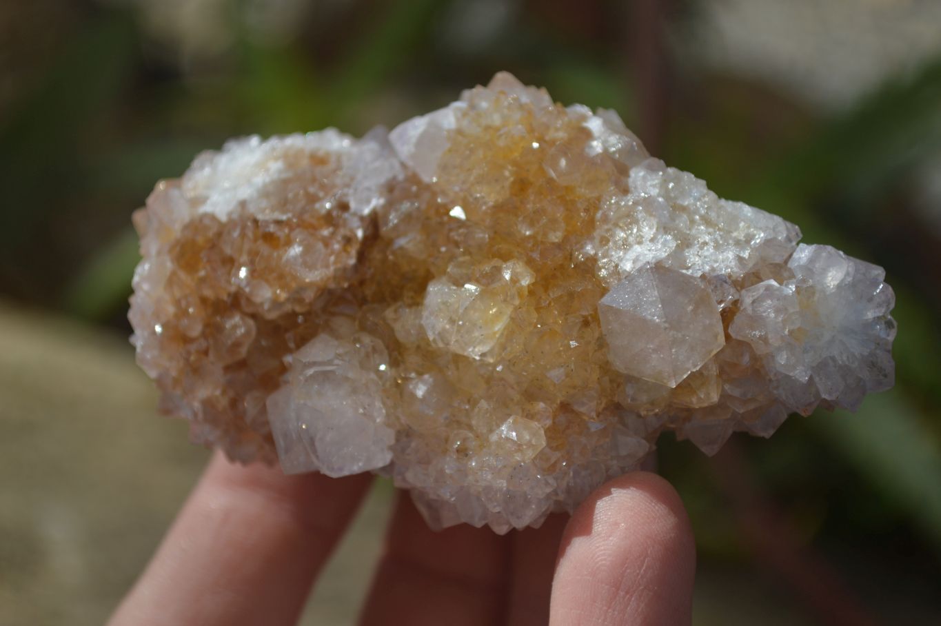 Natural Mixed Spirit Quartz Clusters x 7 From Boekenhouthoek, South Africa - Toprock Gemstones and Minerals 