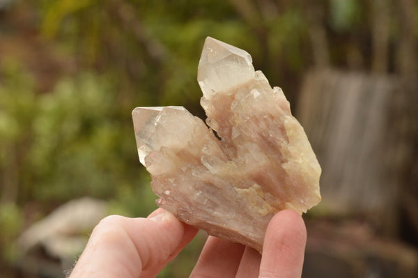 Natural Classic Cascading Smokey Phantom Quartz Crystals  x 12 From Luena, Congo - TopRock