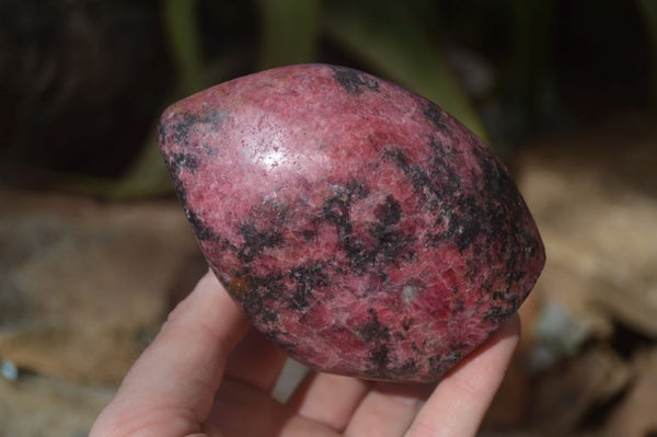 Polished Red Rhodonite Standing Free Forms x 2 From Zimbabwe - Toprock Gemstones and Minerals 