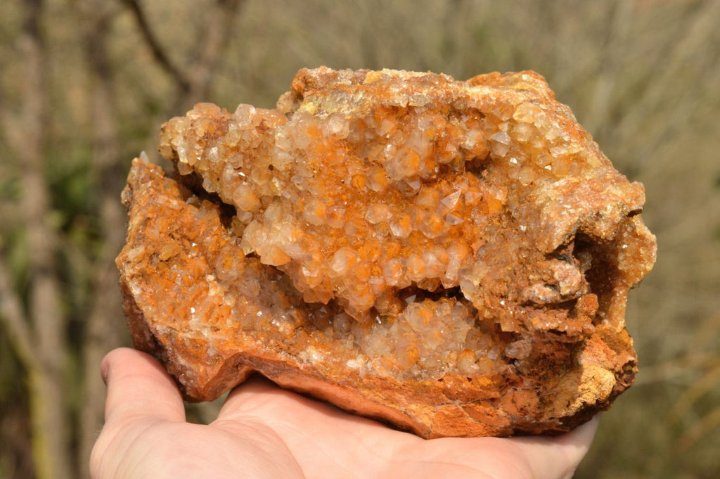 Natural Golden Limonite / Lemonite Quartz Clusters  x 3 From Mwinilunga, Zambia - TopRock