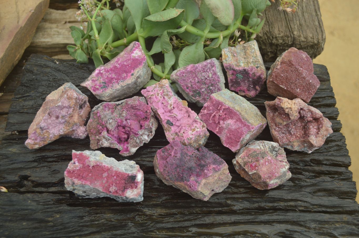 Natural Salrose Cobaltion Dolomite Specimens x 12 From Kakanda, Congo - Toprock Gemstones and Minerals 