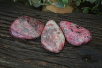 Polished Red Rhodonite Free Forms x 3 From Zimbabwe - Toprock Gemstones and Minerals 