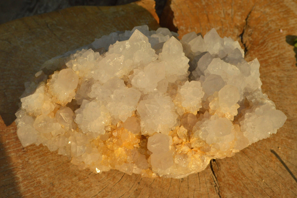 Natural Extra Large Cactus Flower Spirit Quartz Cluster x 1 From Boekenhouthoek, South Africa - TopRock