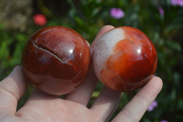 Polished Carnelian Agate Spheres  x 6 From Madagascar