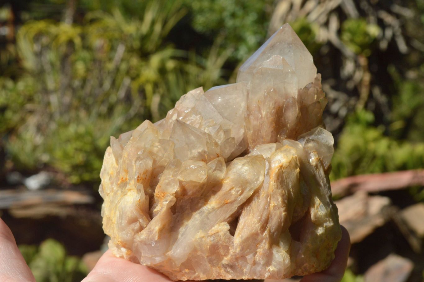 Natural Smokey Cascading Phantom Quartz Clusters x 2 From Luena, Congo - TopRock