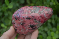 Polished Red Rhodonite Free Forms x 3 From Zimbabwe - Toprock Gemstones and Minerals 