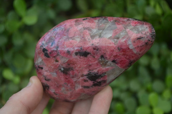Polished Red Rhodonite Free Forms x 3 From Zimbabwe - Toprock Gemstones and Minerals 