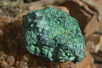 Natural Botryoidal Silky Malachite Specimens  x 5 From Congo - Toprock Gemstones and Minerals 