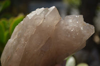 Polished Large Smokey Quartz Crystals x 2 From Angola - Toprock Gemstones and Minerals 