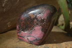 Polished Red Rhodonite Standing Free Forms x 2 From Zimbabwe - Toprock Gemstones and Minerals 