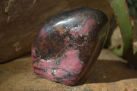 Polished Red Rhodonite Standing Free Forms x 2 From Zimbabwe - Toprock Gemstones and Minerals 