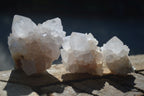 Natural White Cactus Flower Spirit Quartz Specimens  x 12 From Boekenhouthoek, South Africa - Toprock Gemstones and Minerals 