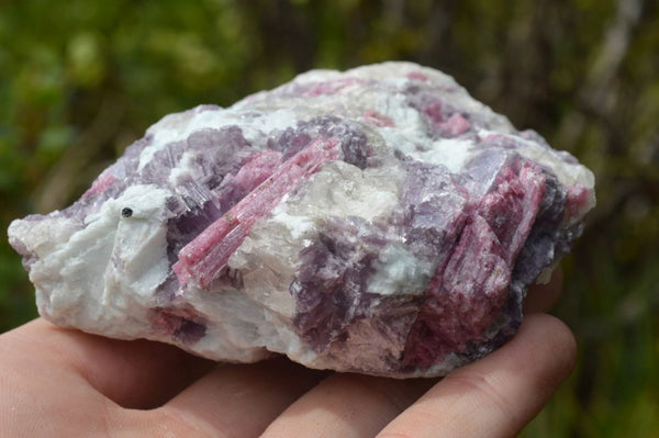 Natural Pink Rubellite Tourmaline Crystals In Schist x 6 From Karibib, Namibia - TopRock