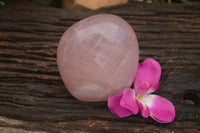 Polished Gemmy Pink Rose Quartz Standing Free Form x 1 From Ambatondrazaka, Madagascar - TopRock