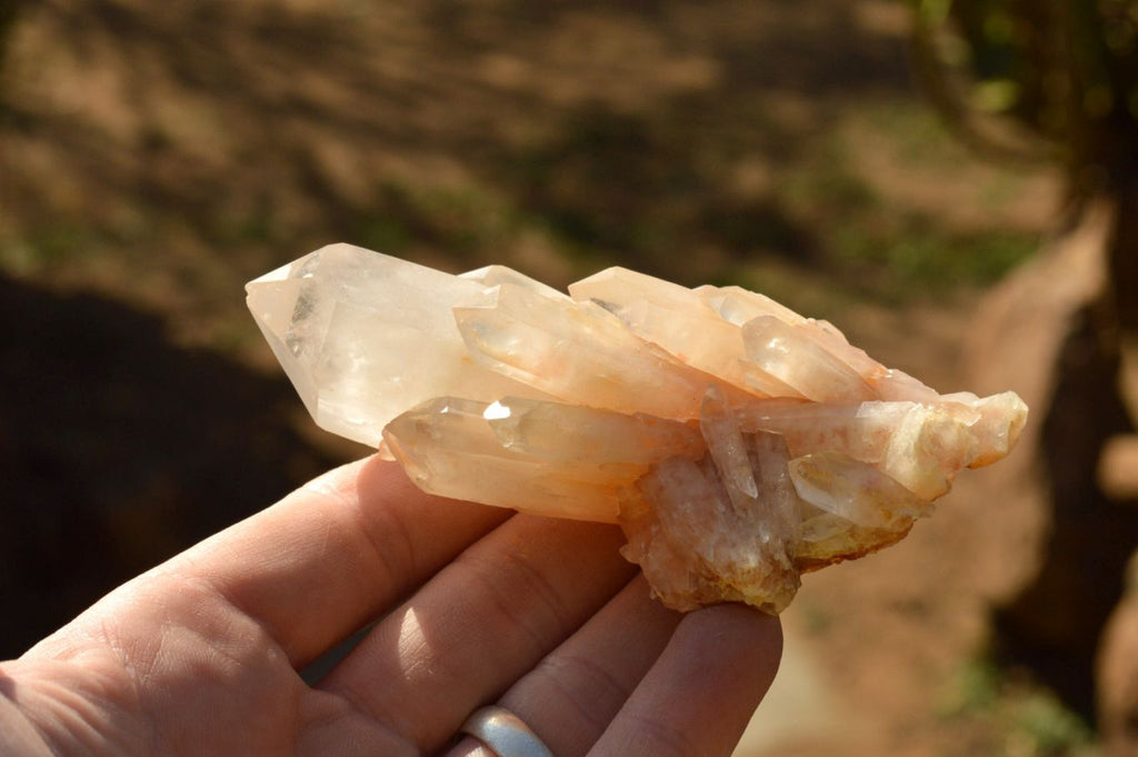 Natural Mixed Quartz Crystals & Clusters  x 13 From Madagascar - TopRock