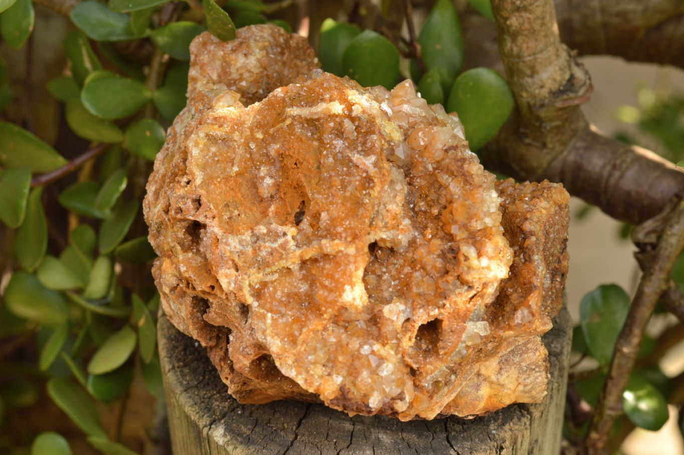 Natural Golden Limonite / Lemonite Quartz Clusters  x 3 From Mwinilunga, Zambia - TopRock