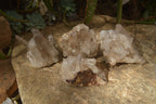 Natural Smokey Quartz Clusters  x 4 From Madagascar - Toprock Gemstones and Minerals 
