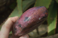 Polished Red Rhodonite Standing Free Forms x 2 From Zimbabwe - Toprock Gemstones and Minerals 