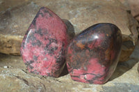 Polished Red Rhodonite Standing Free Forms x 2 From Zimbabwe - Toprock Gemstones and Minerals 