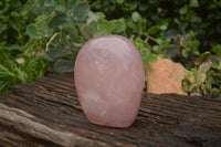 Polished Gemmy Pink Rose Quartz Standing Free Form x 1 From Ambatondrazaka, Madagascar - TopRock