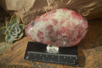 Polished Red Rhodonite Free Forms x 3 From Zimbabwe - Toprock Gemstones and Minerals 