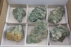 Natural Rare Emerald Mica In Matrix Cobbed Specimens x 12 From Mutoko, Zimbabwe - Toprock Gemstones and Minerals 