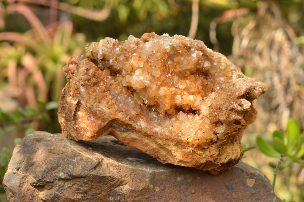 Natural Golden Limonite / Lemonite Quartz Clusters  x 3 From Mwinilunga, Zambia - TopRock