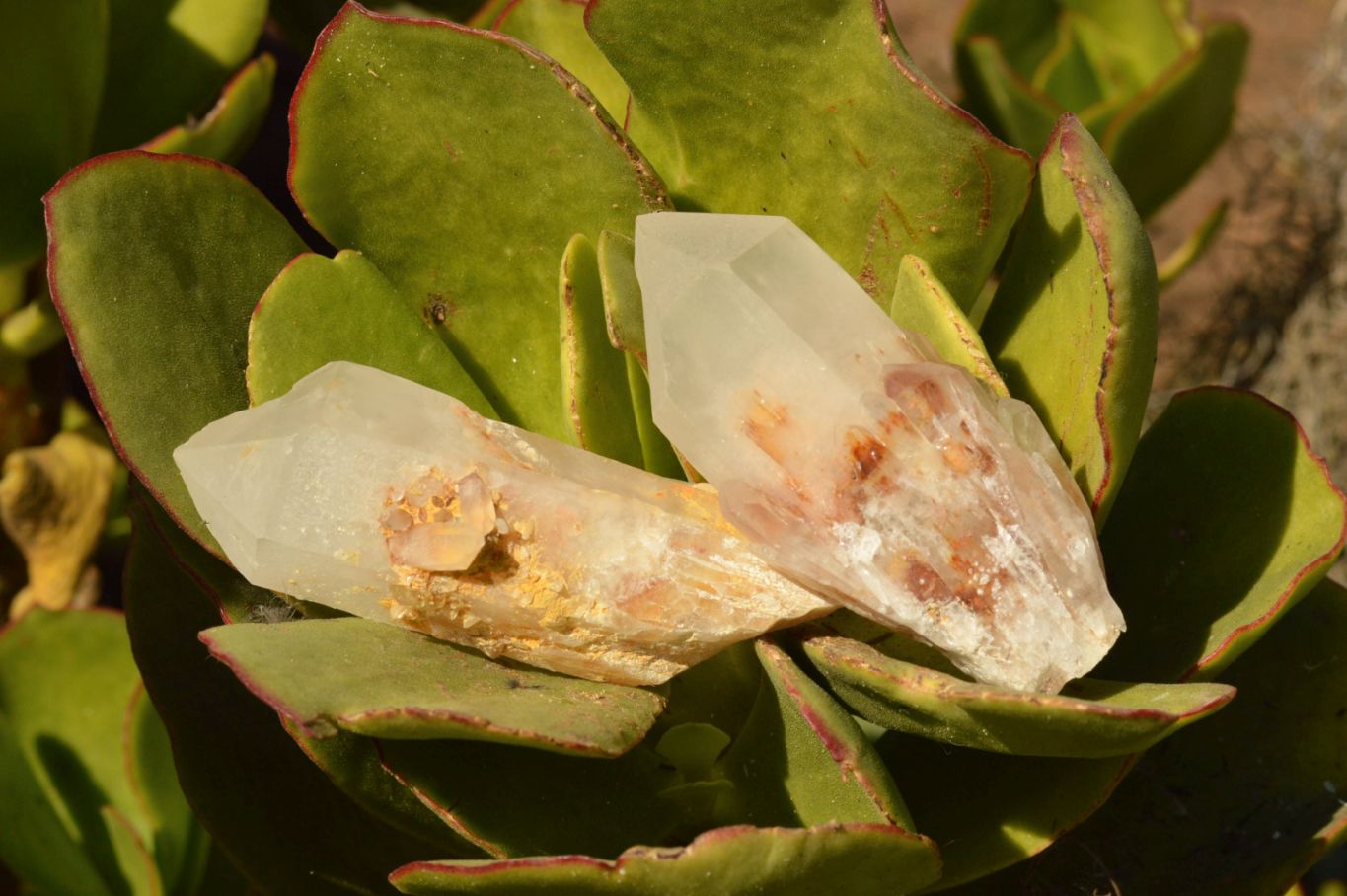 Natural Mixed Quartz Crystals & Clusters  x 13 From Madagascar - TopRock