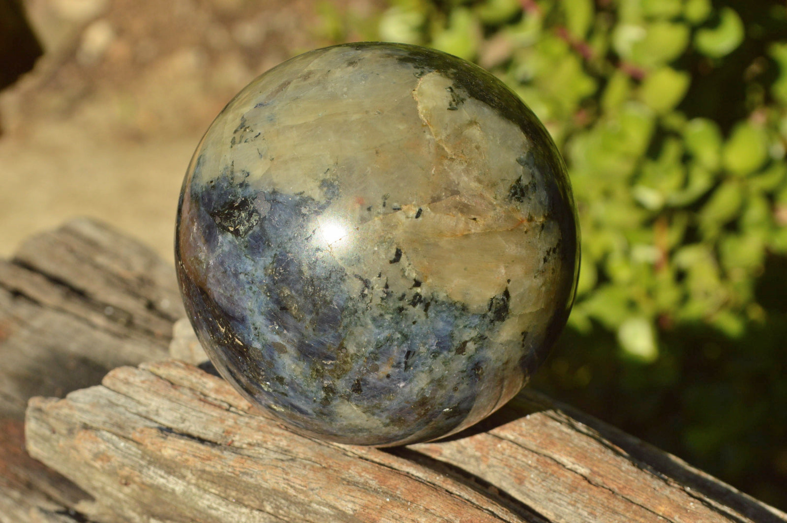 Polished Iolite Water Sapphire Spheres x 2 From Madagascar - TopRock