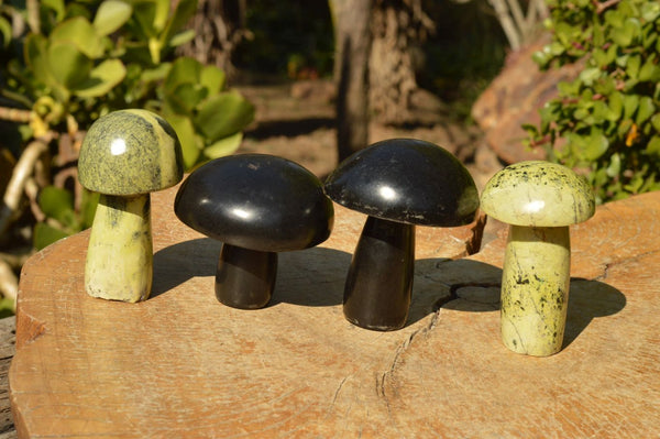 Polished Mixed Selection Of Basalt & Leopard Stone Mushrooms  x 4 From Zimbabwe - TopRock