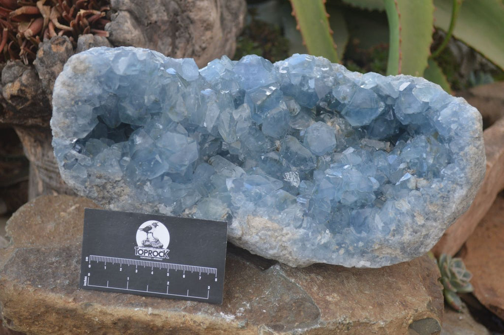 Natural Blue Celestite Geode Specimen  x 1 From Sakoany, Madagascar - Toprock Gemstones and Minerals 
