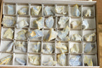 Natural Mini Etched Blue Chalcedony Specimens  x 35 From Malawi - TopRock