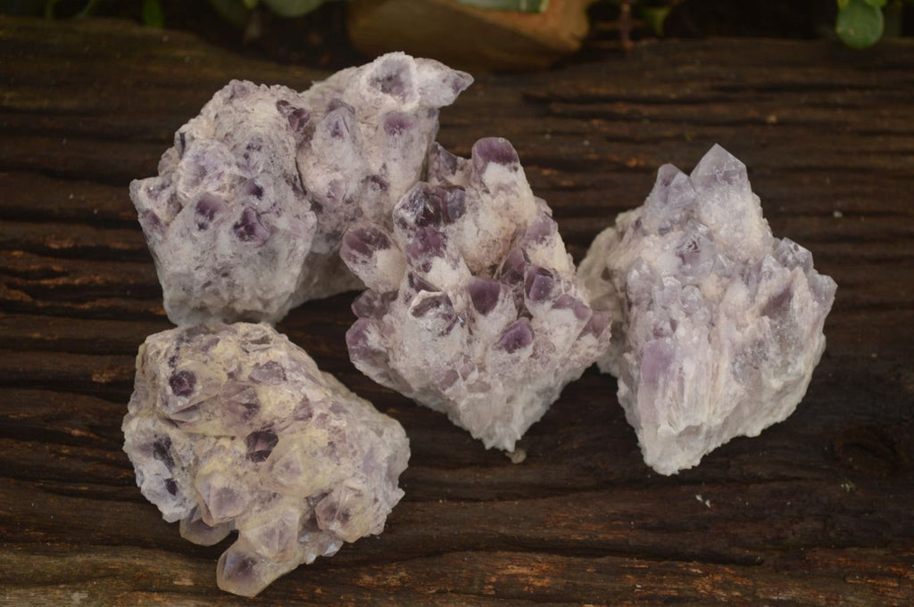 Natural Sugar Amethyst Clusters  x 4 From Solwezi, Zambia - Toprock Gemstones and Minerals 
