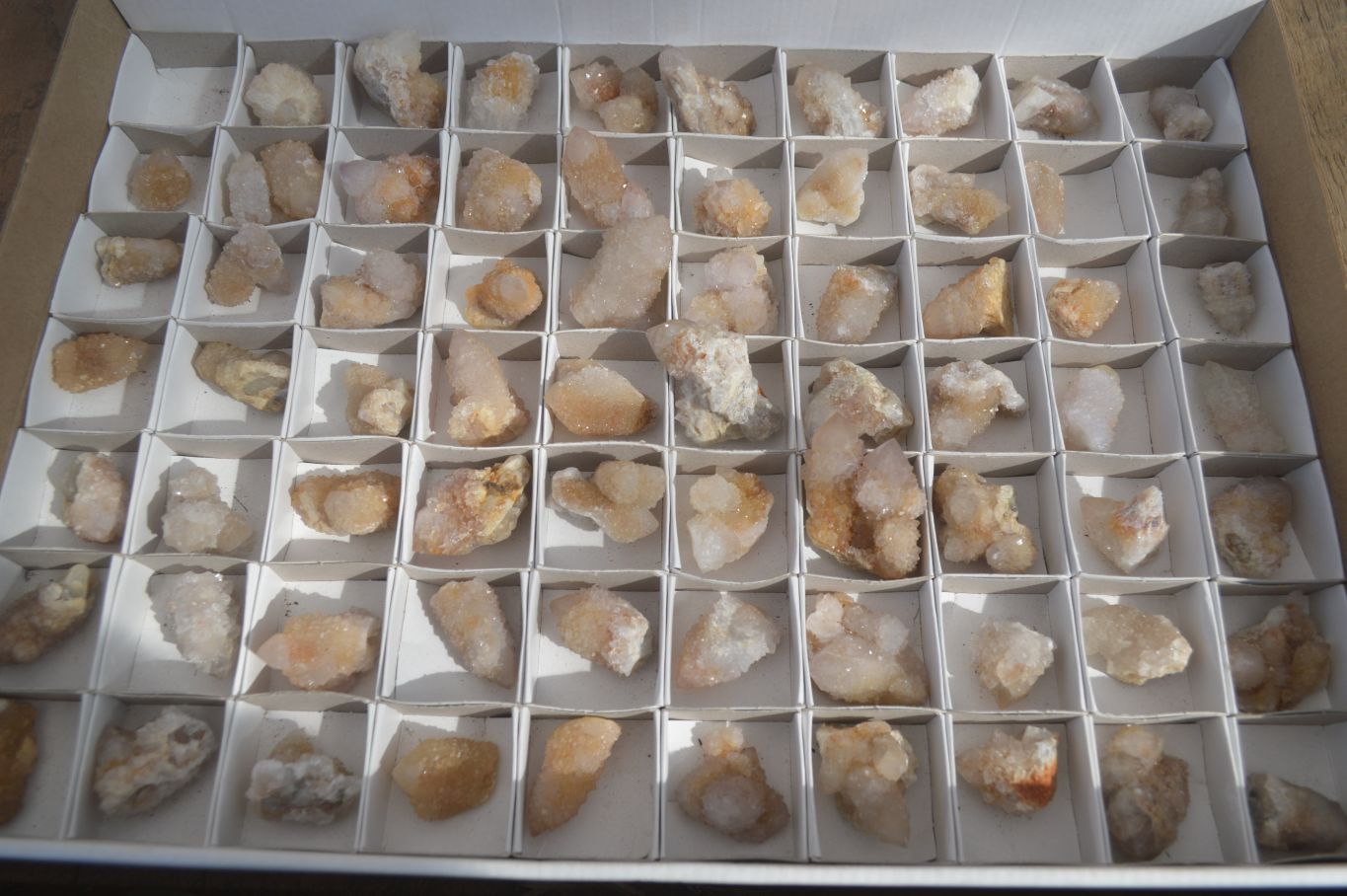 Natural Mixed Spirit Quartz Crystals x 70 From Boekenhouthoek, South Africa - Toprock Gemstones and Minerals 