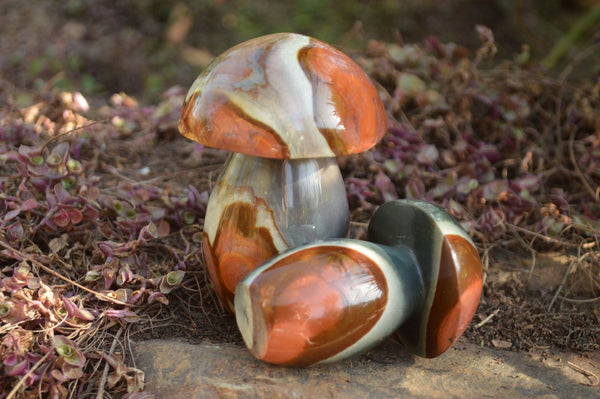 Polished Gorgeous Polychrome / Picasso Jasper Mushrooms x 6 From Mahajunga, Madagascar - TopRock
