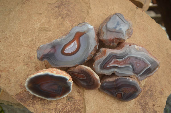 Polished One Side Sache River Agate Nodules - Sold per 1kg (4-6 pices) - From Sache River, Zimbabwe - TopRock