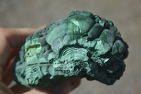 Natural Botryoidal Silky Malachite Specimens  x 5 From Congo - Toprock Gemstones and Minerals 